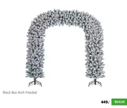 Intratuin Black Box Arch Frosted aanbieding