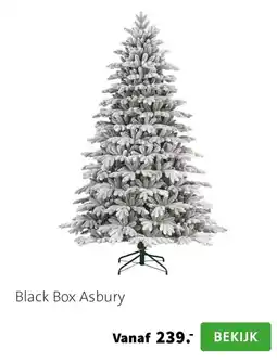Intratuin Black Box Asbury aanbieding