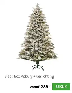 Intratuin Black Box Asbury + verlichting aanbieding