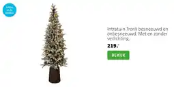 Intratuin Intratuin Tronk besneeuwd en onbesneeuwd. Met en zonder verlichting. aanbieding