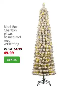 Intratuin Black Box Charlton pilaar, besneeuwd met verlichting aanbieding