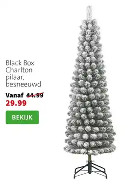 Intratuin Black Box Charlton pilaar, besneeuwd aanbieding
