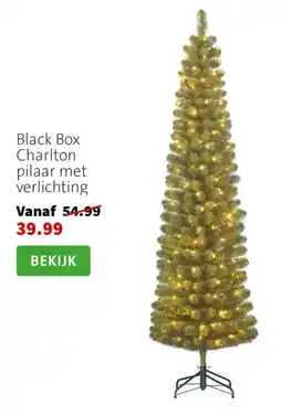 Intratuin Black Box Charlton pilaar met verlichting aanbieding