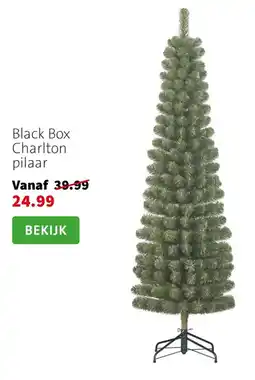Intratuin Black Box Charlton pilaar aanbieding