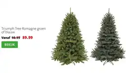 Intratuin Triumph Tree Romagne aanbieding