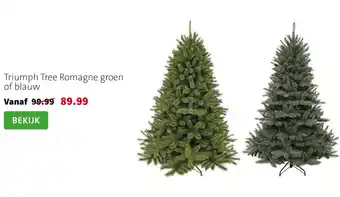 Triumph Tree Romagne