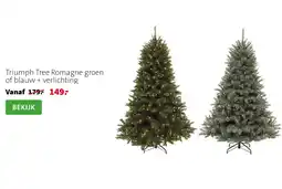 Intratuin Triumph Tree Romagne aanbieding