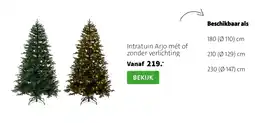 Intratuin Intratuin arjo mét of zonder verlichting aanbieding