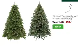Intratuin Triumph Tree Jewel groen blauw + verlichting aanbieding