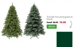 Intratuin Triumph Tree Jewel aanbieding