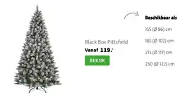 Intratuin Black Box Pittsfield aanbieding