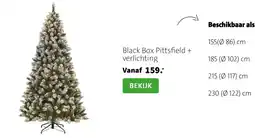 Intratuin Black Box Pittsfield aanbieding