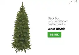 Intratuin Black Box kunstkerstboom Bristlecone Fir aanbieding