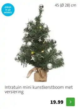 Intratuin Intratuin mini kunstkerstboom met versiering aanbieding
