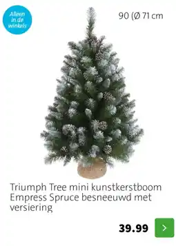 Intratuin Triumph Tree mini kunstkerstboom Empress Spruce besneeuwd met versiering aanbieding