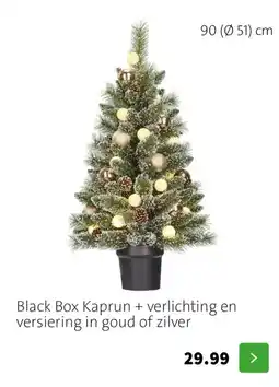 Intratuin Black Box Kaprun aanbieding