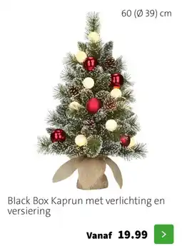 Intratuin Black box kaprun met verlichting en versiering aanbieding
