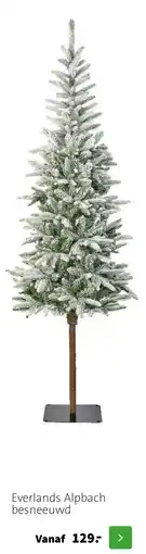 Intratuin Everlands Alpbach besneeuwd aanbieding
