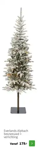 Intratuin Everlands Alpbach besneeuwd + verlichting aanbieding