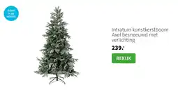 Intratuin Intratuin Axel aanbieding