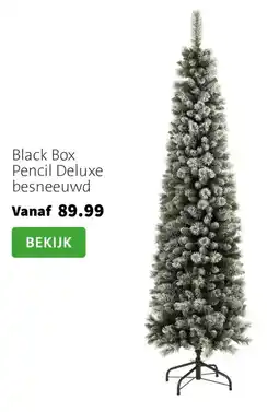 Intratuin Black Box Pencil Deluxe besneeuwd aanbieding