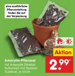 Netto Marken-Discount DE Amaryllis-Pflanzset aanbieding