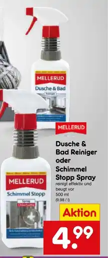 Netto Marken-Discount DE Dusche & bad reiniger oder schimmel stopp spray aanbieding