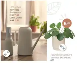 Coppelmans Elho vibes aanbieding