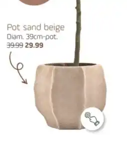 Coppelmans Pot sand beige aanbieding