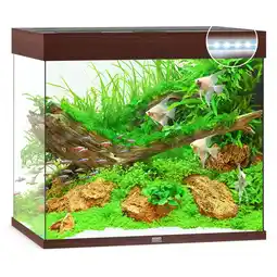 Pets Place Juwel Aquarium Lido 200 LED - Aquarium - 71x51x65 cm Donker Hout aanbieding