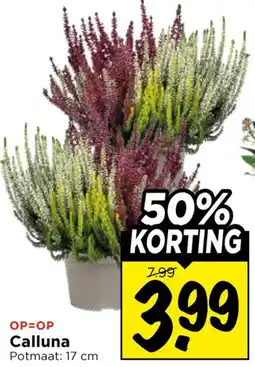 Vomar Voordeelmarkt Calluna aanbieding
