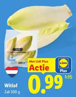 Lidl Witlof aanbieding