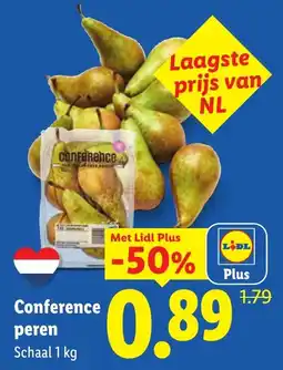 Lidl Conference peren aanbieding