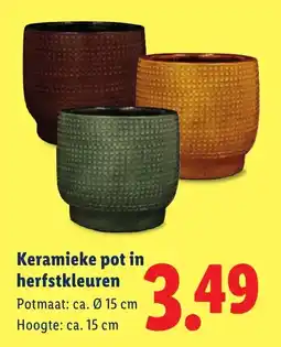 Lidl Keramieke pot in herfstkleuren aanbieding