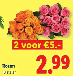 Lidl Rozen aanbieding