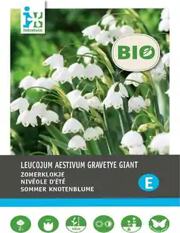 Intratuin Intratuin biologische bloembollen Zomerklokje (Leucojum 'Gravetye Giant') 8 st aanbieding