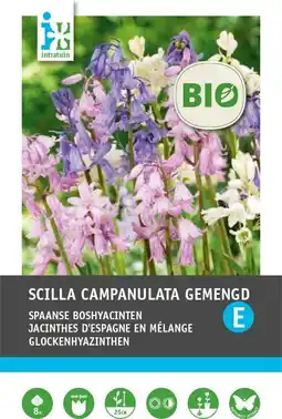 Intratuin Intratuin biologische bloembollen Sterhyacint (Scilla campanulata) mix 8 st aanbieding
