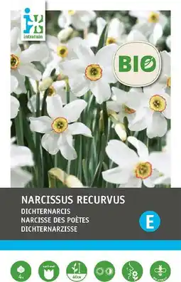 Intratuin Intratuin biologische bloembollen Dichtersnarcis (Narcissus recurvus) 4 st aanbieding