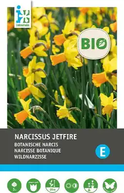 Intratuin Intratuin biologische bloembollen Narcis (Narcissus 'Jetfire') 5 st aanbieding