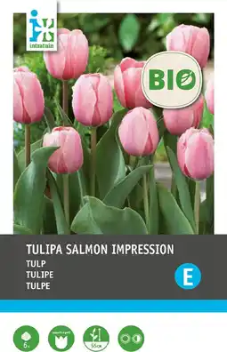 Intratuin Intratuin biologische bloembollen Tulp (Tulipa 'Salmon Impression) 6 st aanbieding