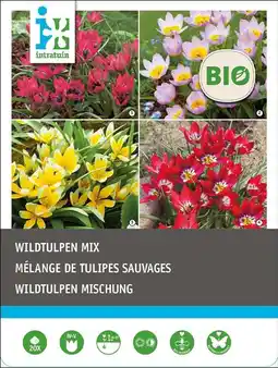 Intratuin Intratuin biologische bloembollen wildtulpen mix 20 st aanbieding