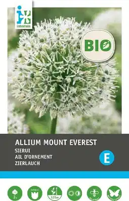 Intratuin Intratuin biologische bloembollen Sierui (Allium 'Mount Everest') 1 st aanbieding