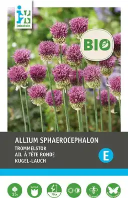Intratuin Intratuin biologische bloembollen Trommelstokje (Allium sphaerocephalon) 15 st aanbieding