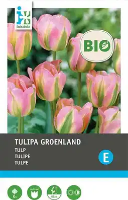 Intratuin Intratuin biologische bloembollen Tulp (Tulipa viridiflora 'Groenlands) 6 st aanbieding