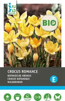 Intratuin Intratuin biologische bloembollen Krokus (Crocus 'Romance') 12 st aanbieding