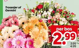 Dekamarkt Trosanjer of Germini aanbieding