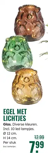 GroenRijk Egel met lichtjes aanbieding