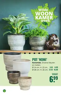 GroenRijk Pot nomi Keramiek aanbieding