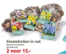 Deka Tuin Bloembollen in net aanbieding