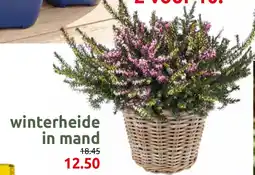 Deka Tuin Winterheide in mand aanbieding
